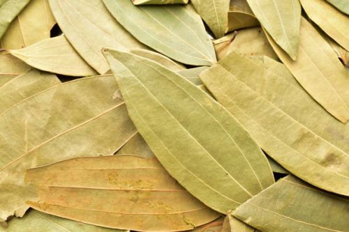 Dried Bay Leaf