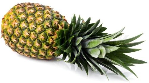 Fresh Pineapple, Style : Natural