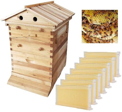 Coated Wooden Beehive Box, Shape : Rectangle