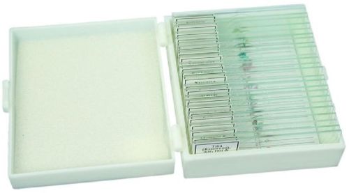 Rectangular Botany Fossil Slides, For Laboratory, Packaging Type : Carton Box