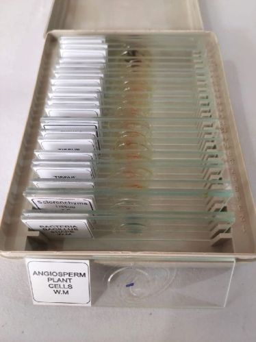 Botany Micro Prepared Slides, For Laboratory, Feature : Crack Proof, Light Weight, Superior Quality