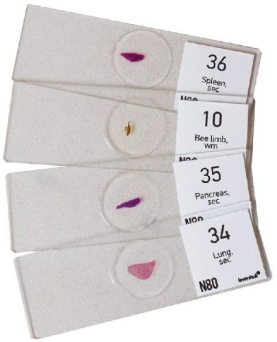 Rectangular Prepared Microscope Slides, For Laboratory, Feature : Light Weight, Superior Quality