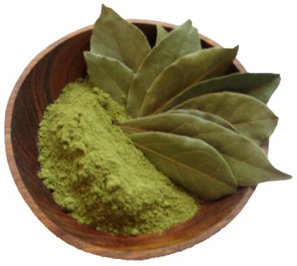 Bay Leaves Powder, Packaging Type : Packet