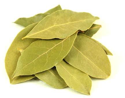 Organic Dried Bay Leaves, Packaging Type : Plastic Packet