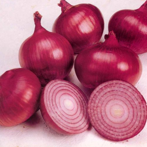 Organic Fresh Red Onion, Packaging Type : Plastic Bag