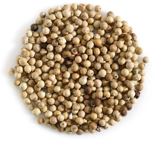 Raw Organic White Pepper Seeds, Shelf Life : 12 Months