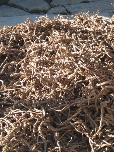 Dried Kutki Roots, Packaging Type : Loose