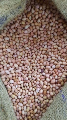 Groundnut, Certification : FSSAI