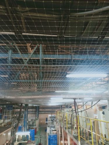 Commercial Bird Net service,3 Years Warranty, Color : Black, Green, White