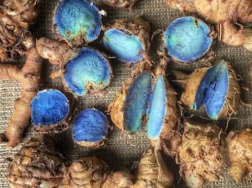 Organic Black Turmeric, Packaging Type : Plastic Bag