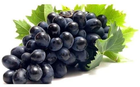 Black Seedless Grapes