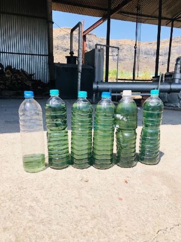 Geranium Oil, Color : Pale Yellow To Greenish, Purity : 100 %