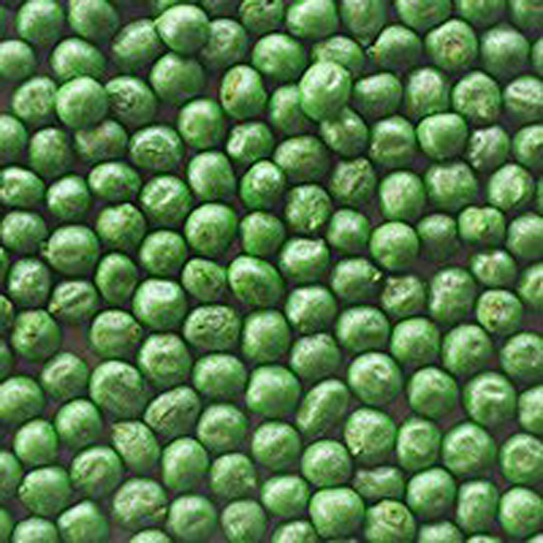 Bhindi Seed Coating Polymers, Color : Red, Green, Black, Blue, Orange, Magenta, Violet, White