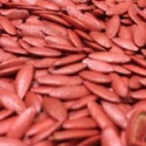 Cucumber Seed Coating Polymer, Color : Red, Green, Black, Blue, Orange, Magenta, Violet, White