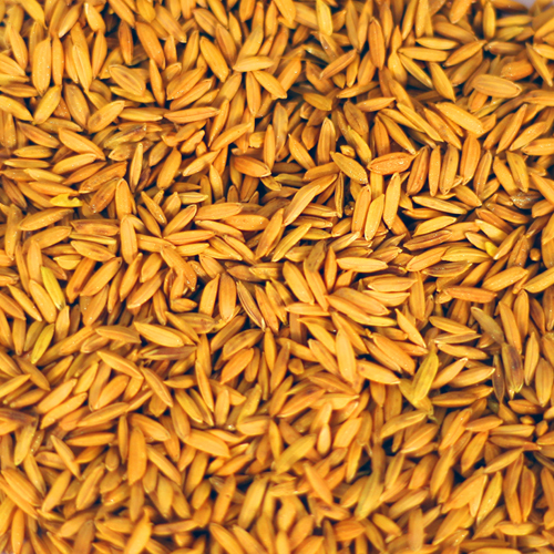 Paddy Seed Coating Polymer, Color : Red, Orange, Blue, Yellow