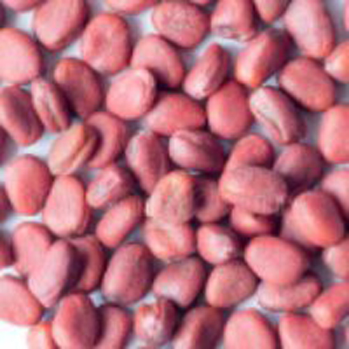 Spinach Palak Seed Coating Polymer, Color : Red, Green, Black, Blue, Orange, Magenta, Violet, White