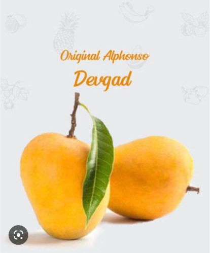 Natural Original Alphonso Mangoes 🥭, For Human Consumption, Grade Standard : Medicine Grade