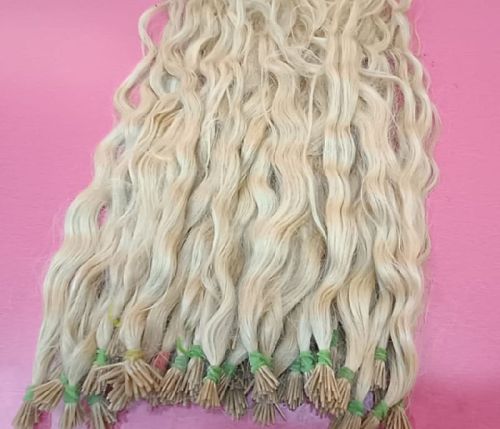 AE Double Drawn Human Hair, Style : Curly