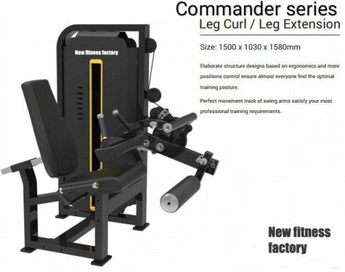 Leg Curl / Extension