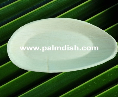 10 Inch Palm Leaf Oval Platter