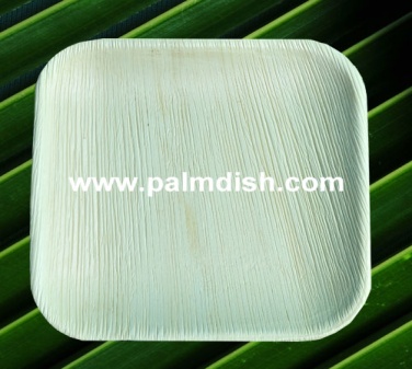 ARECA DISPOSABLE PLATE - 10 INCH SQUARE