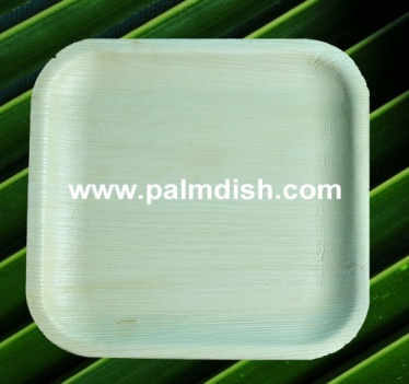 Areca Palm Leaf Disposable 7 Inch Square Platter