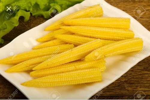 Fresh Baby Corn, Color : Yellow