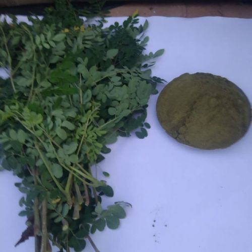 Natural Drumstick Leaves Powder, Feature : Eco-Friendly, Floury Texture, Good In Taste, Healthy, Non Harmul