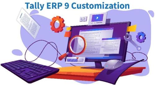 Tally Customization Service