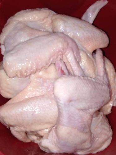 Frozen Chicken Wings Medium