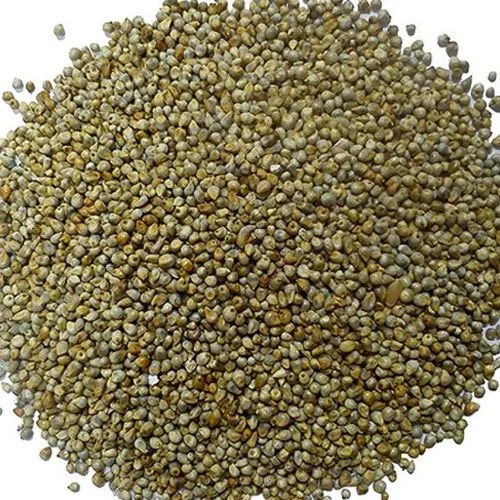 Organic Animal Feed Bajra, Style : Dried