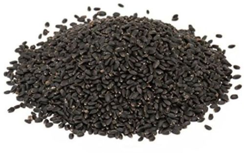 Organic Basil Seeds, For Health Supplement, Medicine, Style : Dried