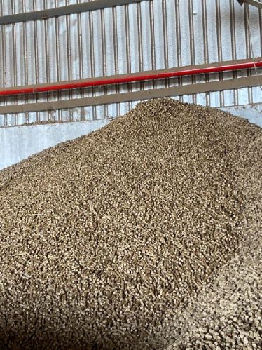 SAWDUST Biomass Pellet