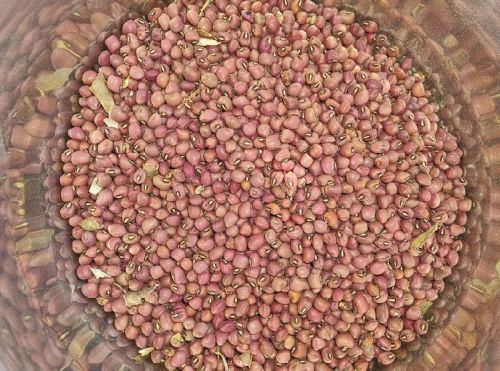 Red Cowpea Seeds