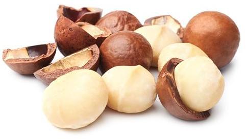 Raw Macadamia Nuts Seeds, For Herbal Formulation, Ayurvedic Formulation, Agriculture Farming, Packaging Type : Plastic Packat