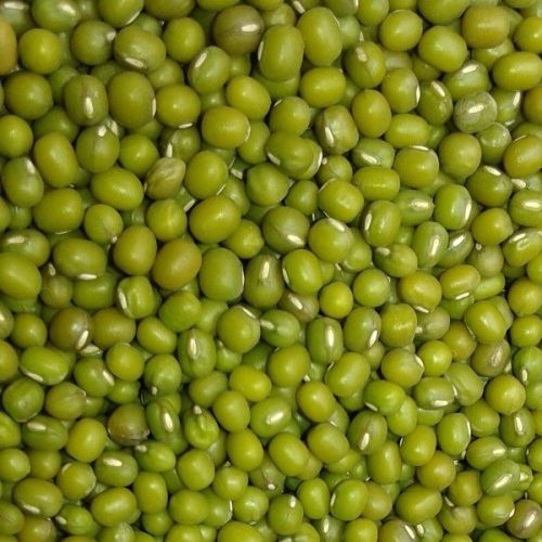 Organic Green Mung Beans, Style : Dried