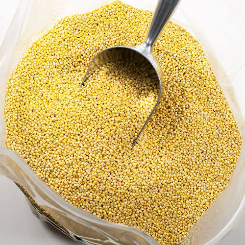 Organic Yellow Bajra Seeds, Style : Dried