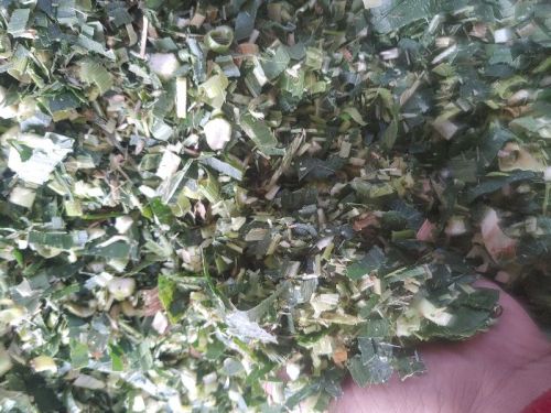 Maize Silage, Packaging Type : PP Bag