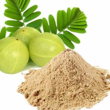 Amla Powder, Shelf Life : 6 Months