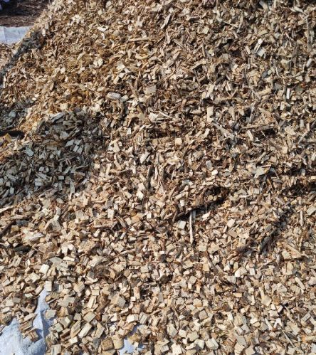 Veneer Wood Chips, Color : Creamy