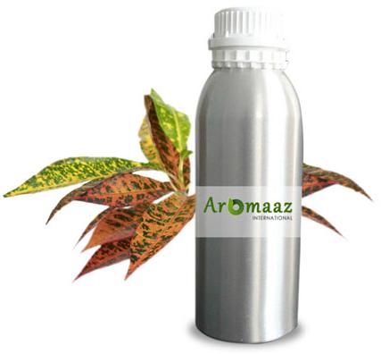 Croton Essential Oil