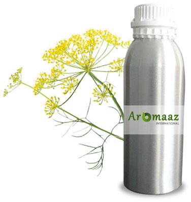 Galbanum Essential Oil, Botanical Name : Ferula Galbaniflua