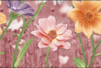 Polished Multicolored Ceramic Wall Tiles, For Interior, Exterior, Size : 200X200mm, 300X300mm, 400X400mm