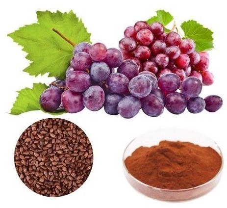 Natural Grape Seed Extract, For Medicinal, Packaging Size : 5-10kg