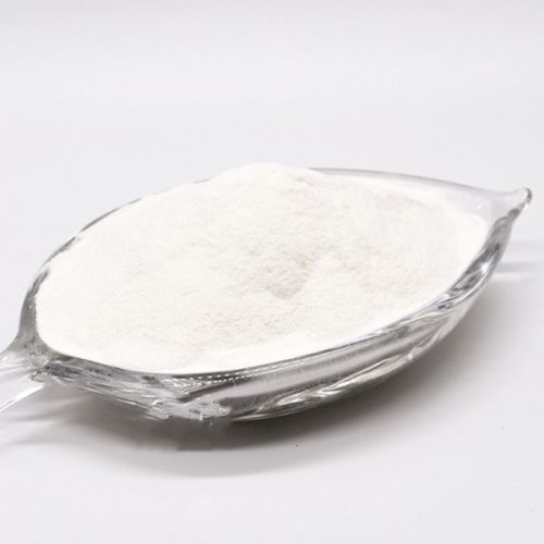 Lactobacillus Paracasei, Form : Powder