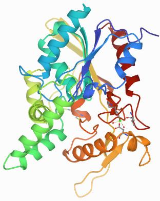 Lipase Enzyme, Shelf Life : 2 Yrs