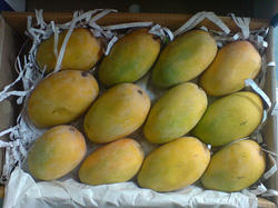 Ind Fresh Kesar Mango