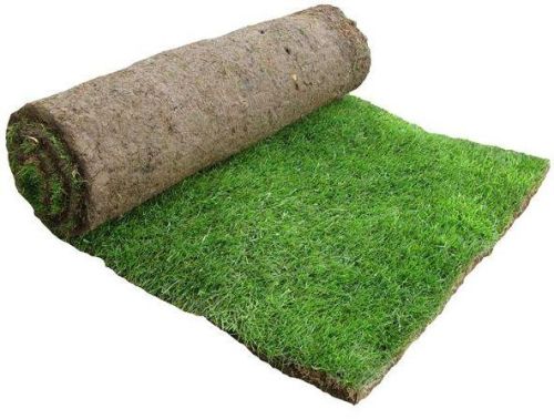 Lawn Grass, For Garden, Play Ground, Restaurant, Size : Multisize