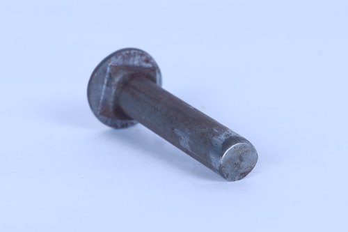 Mild Steel Carriage Bolt, Technique : COLD FORGING