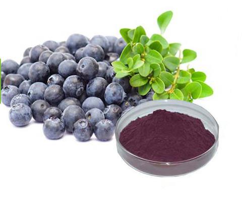 Acai Berry Extract, Packaging Type : HDPE Drum